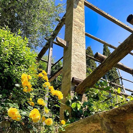 גרגננו Hotel Gardenia Al Lago מראה חיצוני תמונה