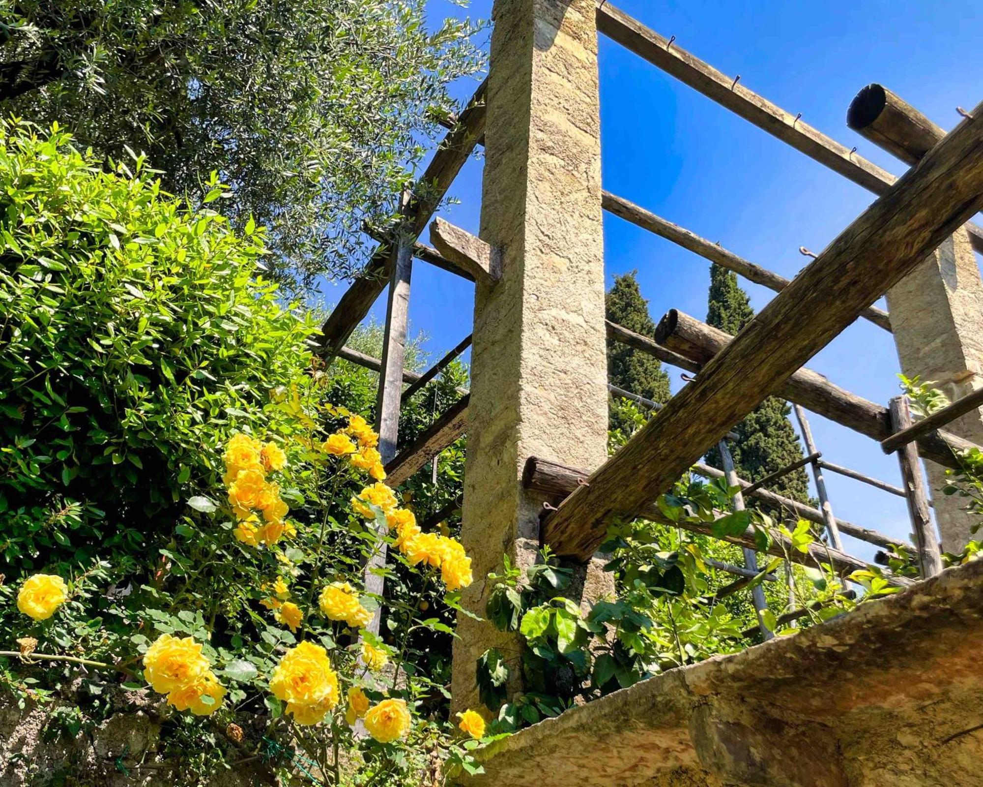 גרגננו Hotel Gardenia Al Lago מראה חיצוני תמונה